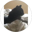 Barbara W. profile picture